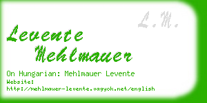 levente mehlmauer business card